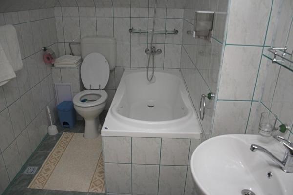 Guest house Pensiunea Turistica Delmonte Holiday Sinaia